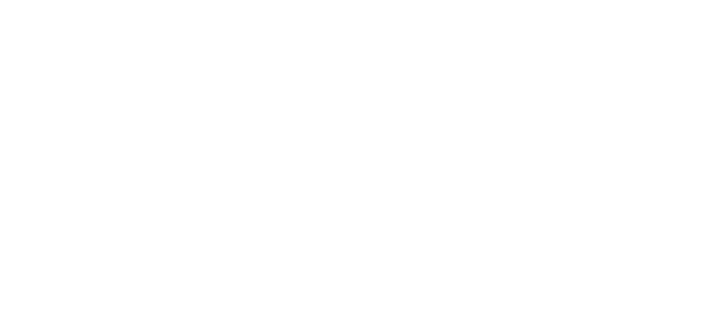 Data Protection Authority logo